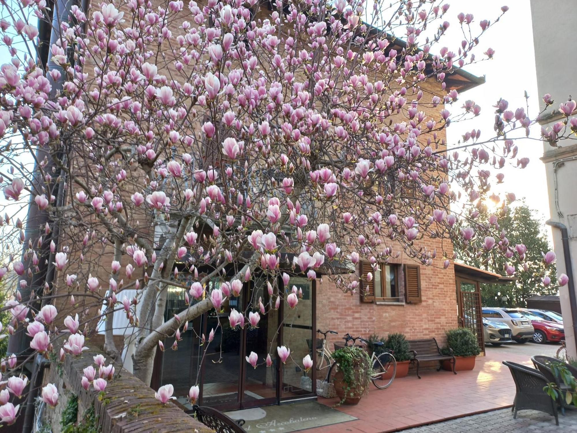 Hotel Arcobaleno Siena Exterior foto